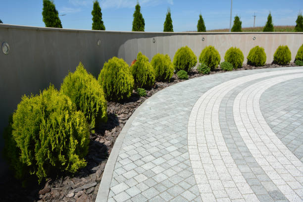Best Professional Driveway Pavers  in Borger, TX